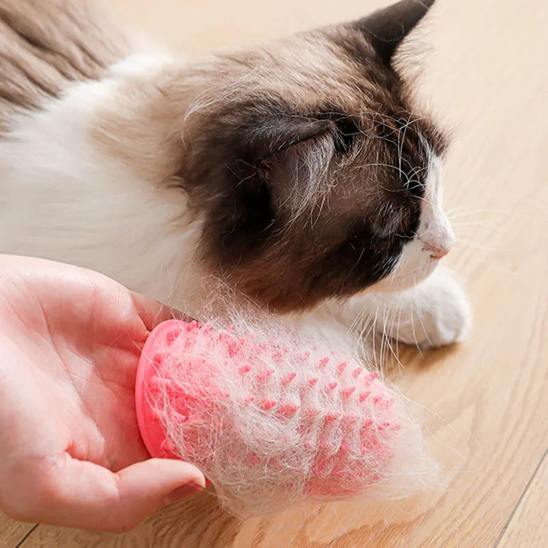 Pet Hair Removal Comb