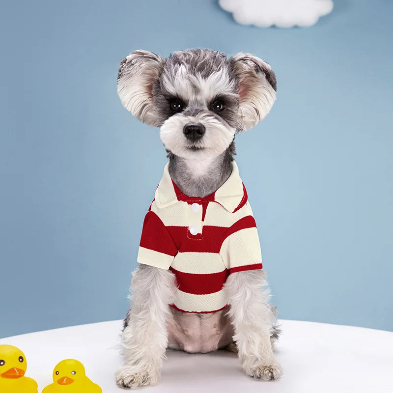 Pet Polo Shirt