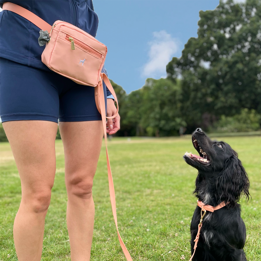 3-in-1 Dog Walking Bum Bag