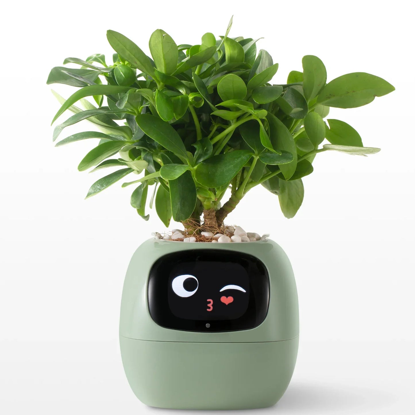 Plantie Smart Pot