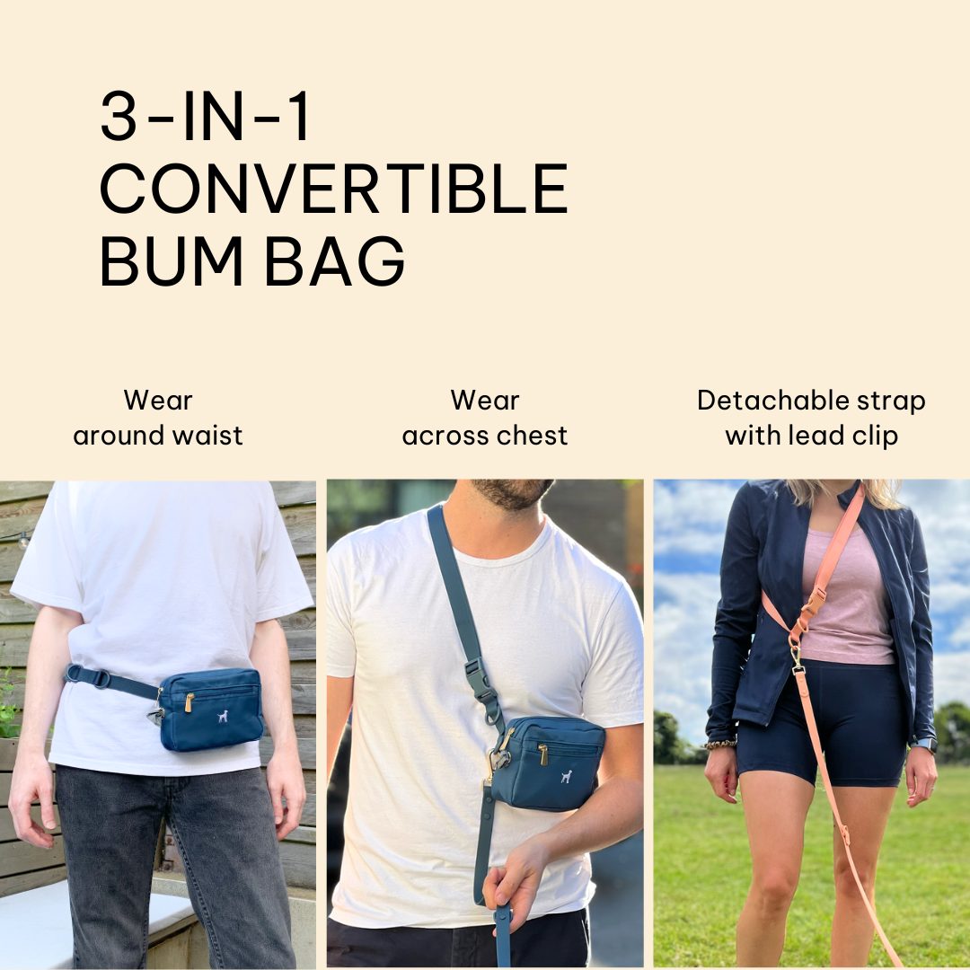 3-in-1 Dog Walking Bum Bag