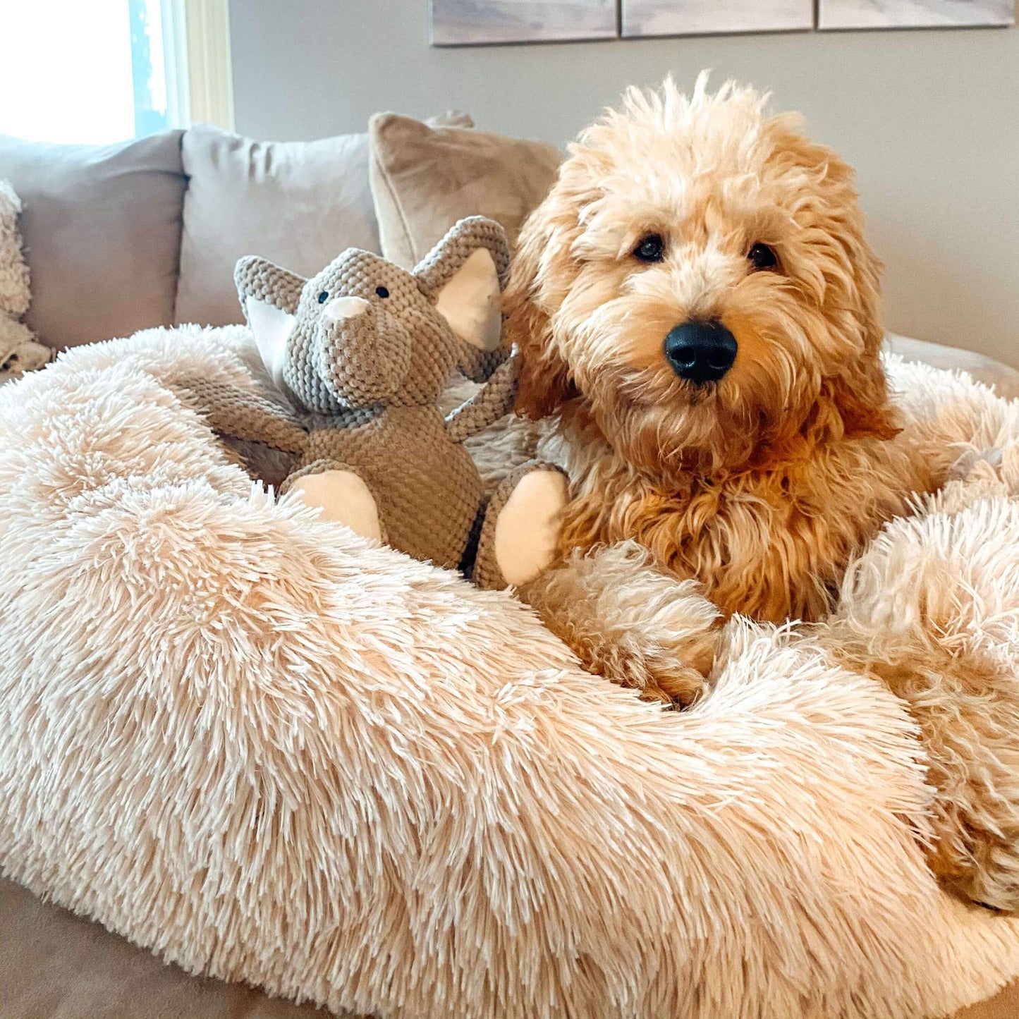 Anti-Anxiety Calming Bed