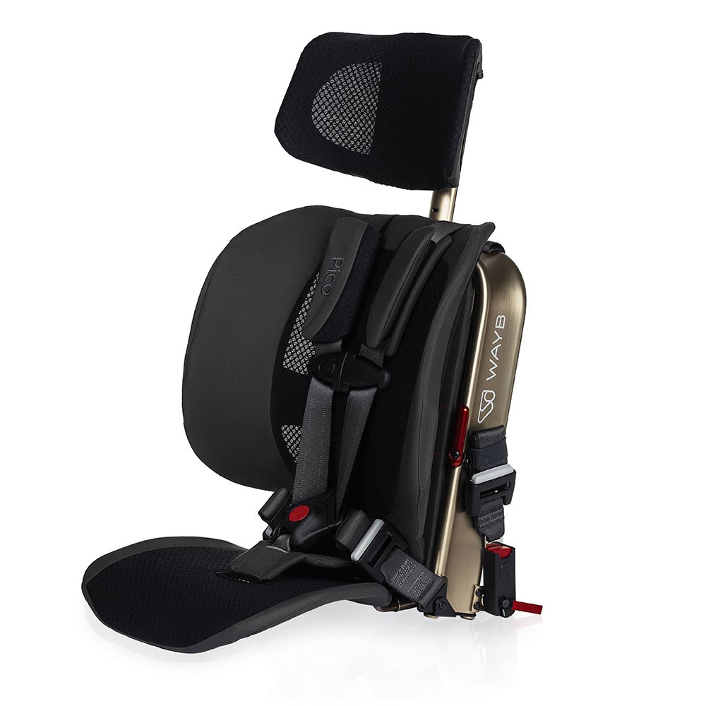 Re-Certified Pico™ Portable Car Seat