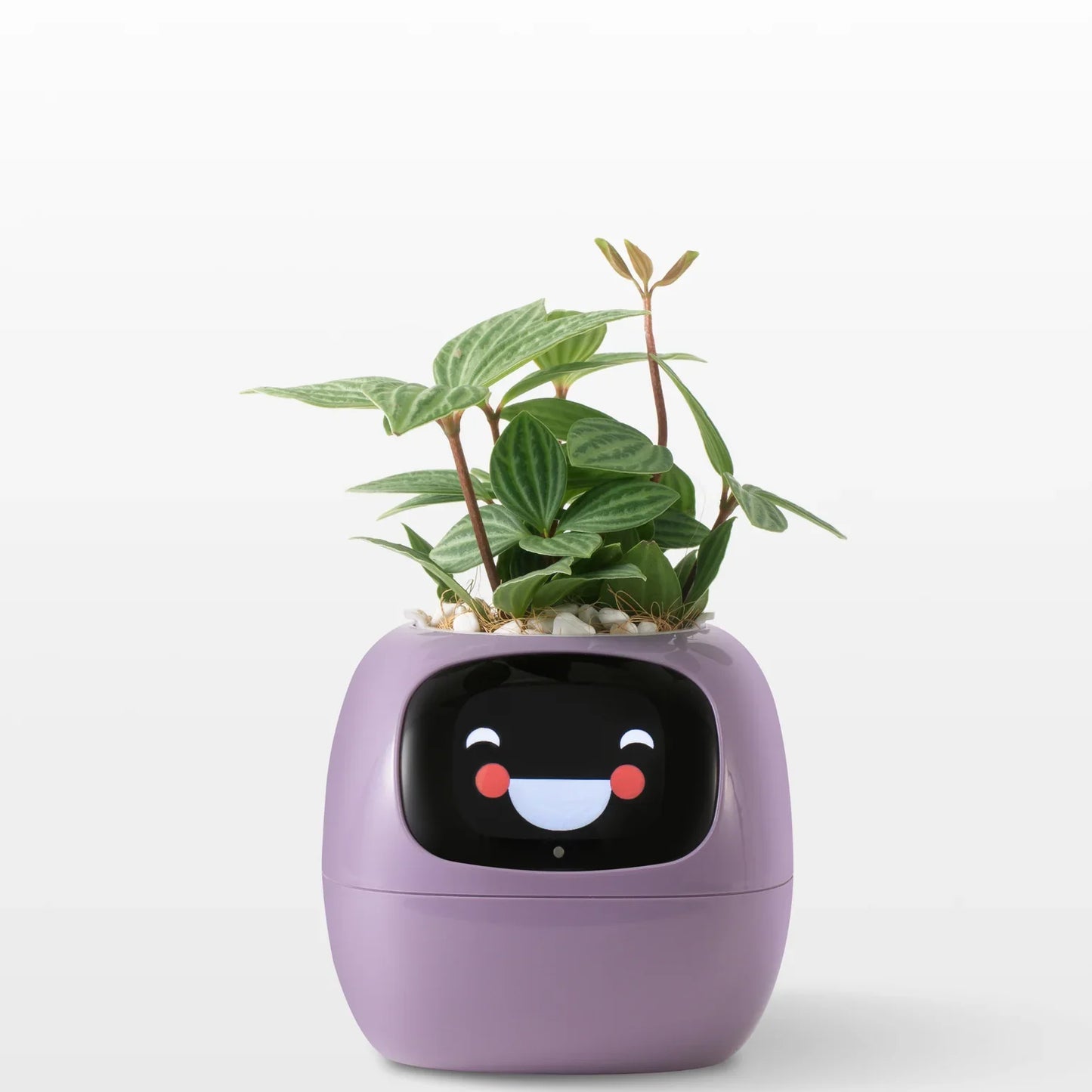 Plantie Smart Pot