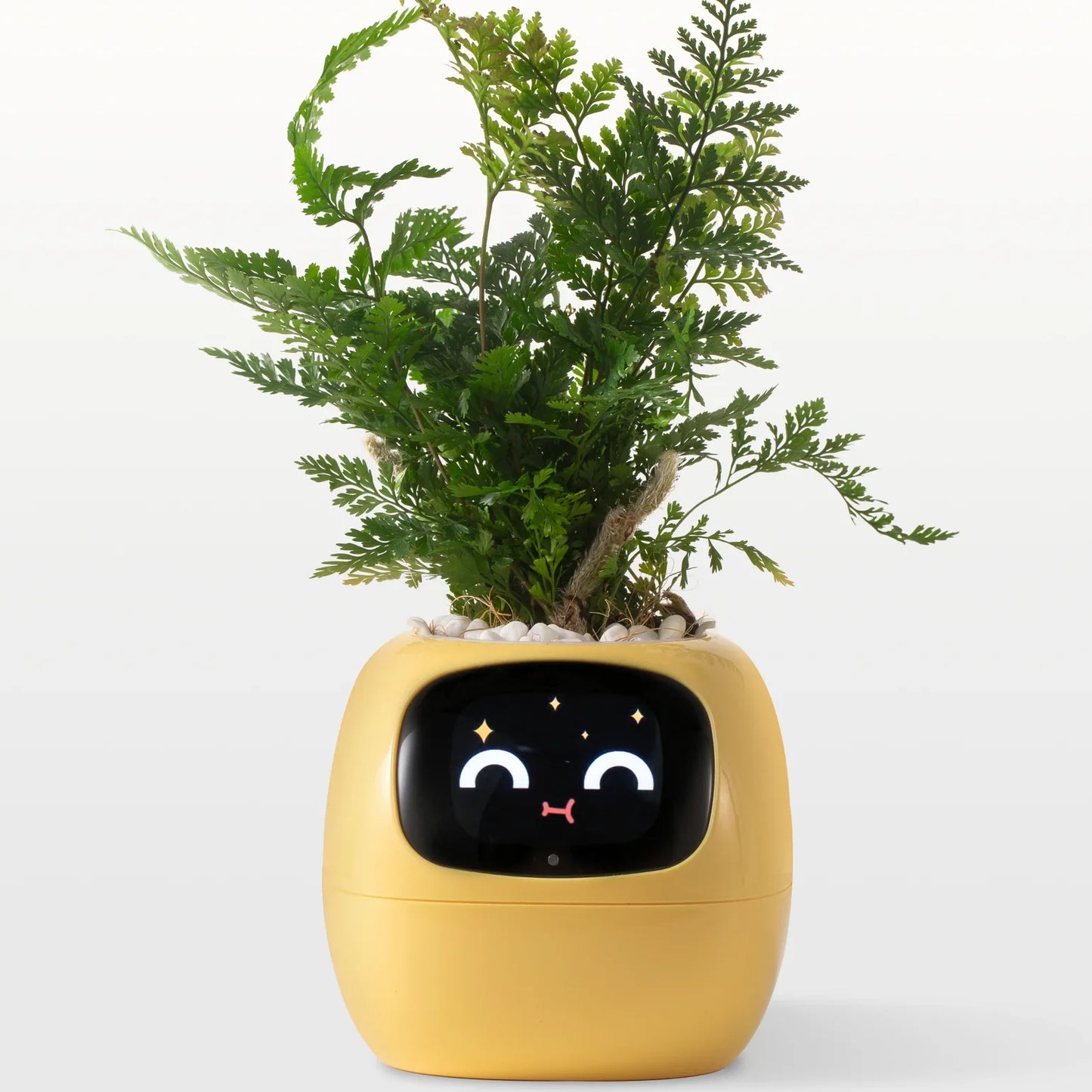 Plantie Smart Pot